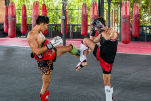 Melhores Esportes de Luta